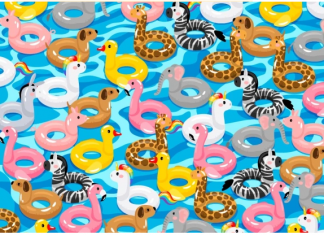 Teste visual: Com que rapidez você avistou a boia da piscina em forma de burro?