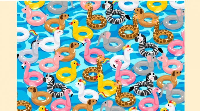 Teste visual: Com que rapidez você avistou a boia da piscina em forma de burro?