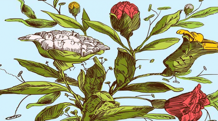 Você tem uma boa visão?Quantas faces você consegue identificar neste desafio visual complicado?