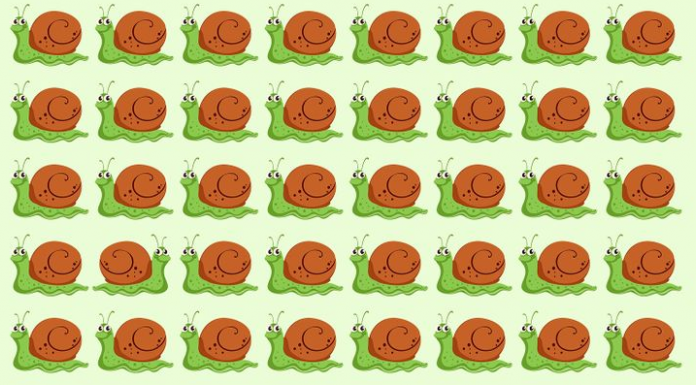 Teste suas habilidades visuais: ache o caracol distinto em 20s!