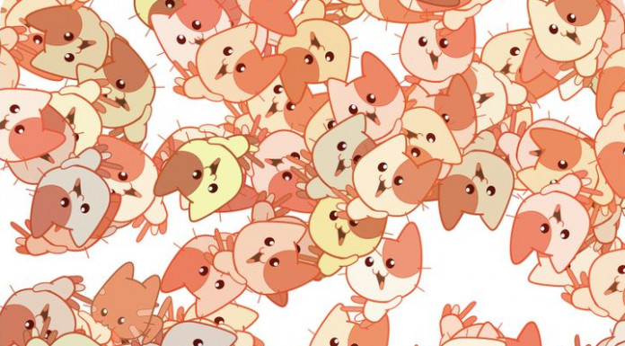 Teste do olho afiado: Um gatinho é todo marrom, mas ele se escondeu no meio dos manchadinhos, vamos achá-lo?