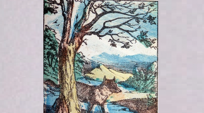 Uma raposa está visível mas, e o corvo onde está? Apenas 1 em cada 2.000 pessoas pode passar neste teste.