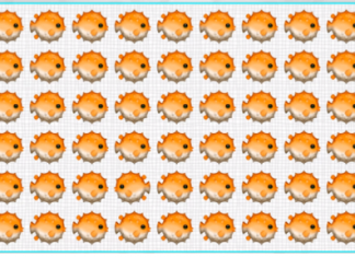 Onde está o peixe diferente? O novo desafio viral que você deve superar em 10 segundos