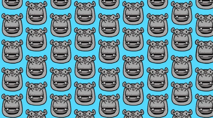 Desafio visual: encontre o hipopótamo desdentado!