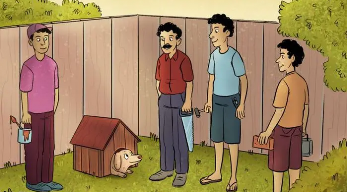 Desafio visual: Quem não ajudou a construir a casinha?