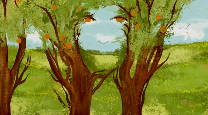 Quão forte é a sua observação: Quanto tempo para encontrar o rosto nesta foto?