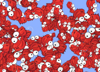 Agora é hora de aguçar seus sentidos: Que tal encontrar o bichinho que assustou os caranguejos vermelhos?