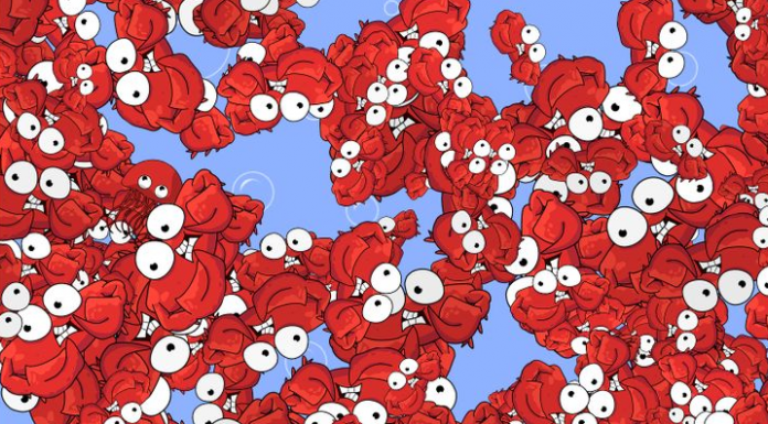 Agora é hora de aguçar seus sentidos: Que tal encontrar o bichinho que assustou os caranguejos vermelhos?