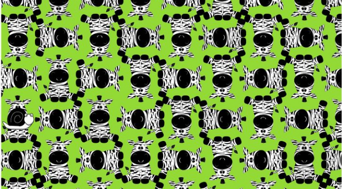 Verificação de atenção: Tem um caracol escondido na manada de zebrinhas, cadê ele?