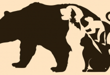 Desafio visual para exercitar o cérebro: Quais animais você pode ver na foto?
