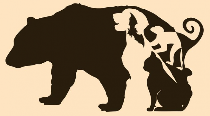 Desafio visual para exercitar o cérebro: Quais animais você pode ver na foto?