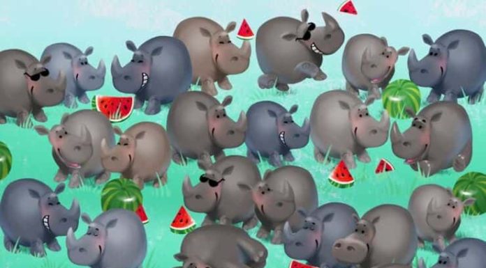 Você se considera um gênio? Encontre o intruso no teste visual do rinoceronte