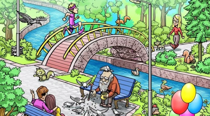 Vamos jogar? Você consegue encontrar o cachorro perdido?