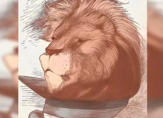 Desafio visual extremo: você consegue encontrar o homem escondido na face do leão em 10 segundos?