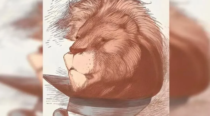 Desafio visual extremo: você consegue encontrar o homem escondido na face do leão em 10 segundos?