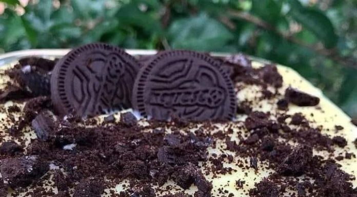 Pavê negresco fácil